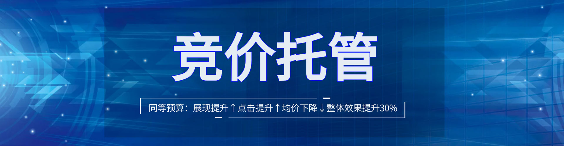 大树竞价广告