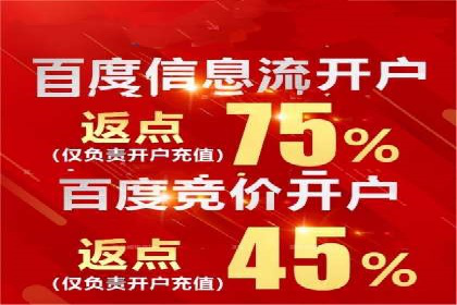 竞价排名策略案例：广告效果最大化技巧